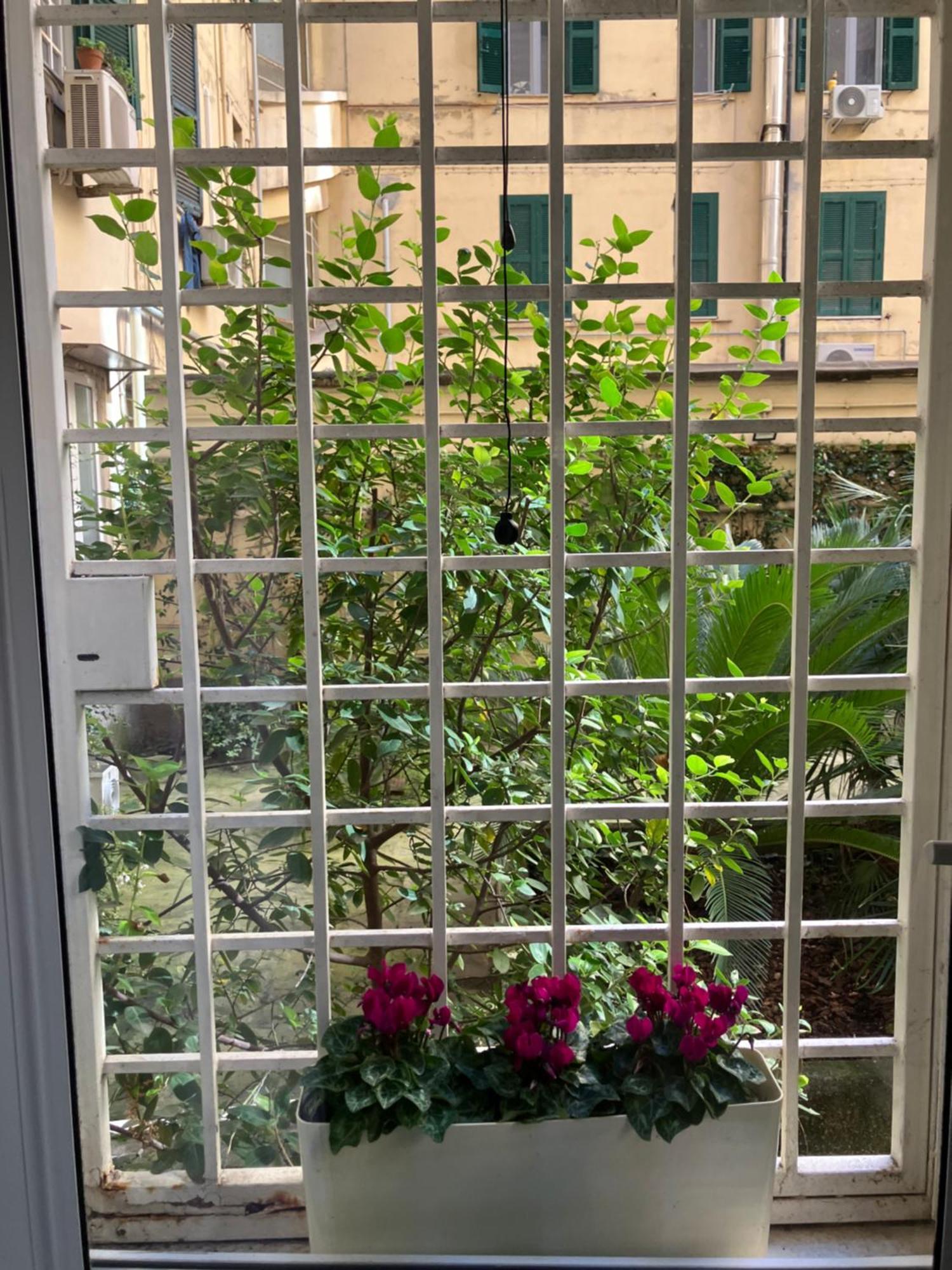 Room 76, Rome